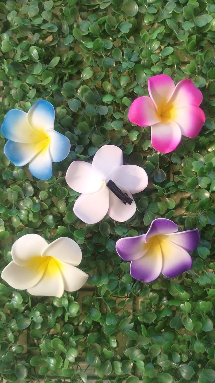 Flower hair clips